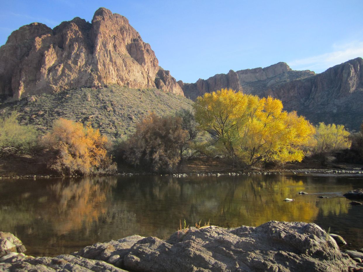 Salt River