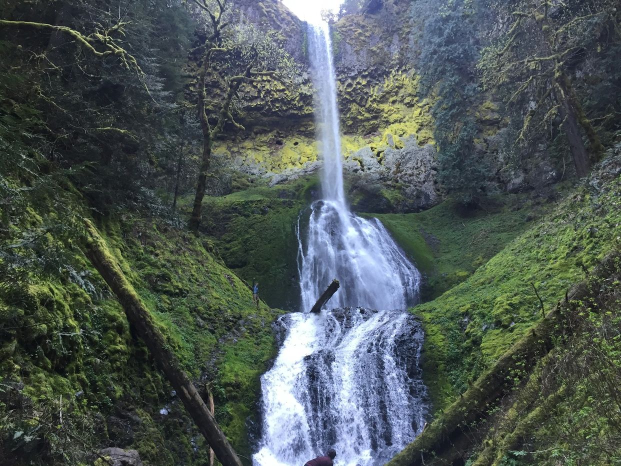 Pup Creek Waterfall