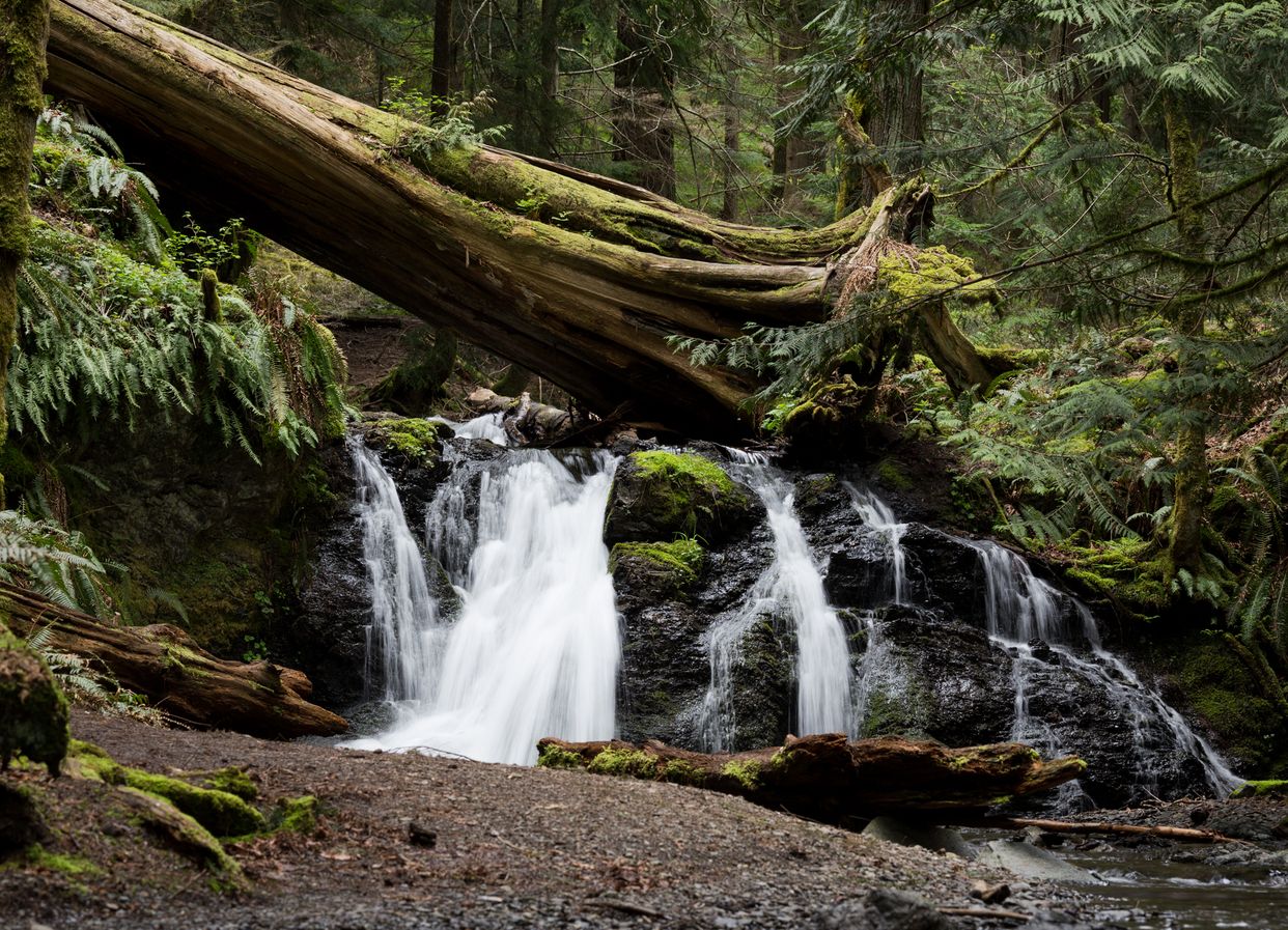 Rustic Falls