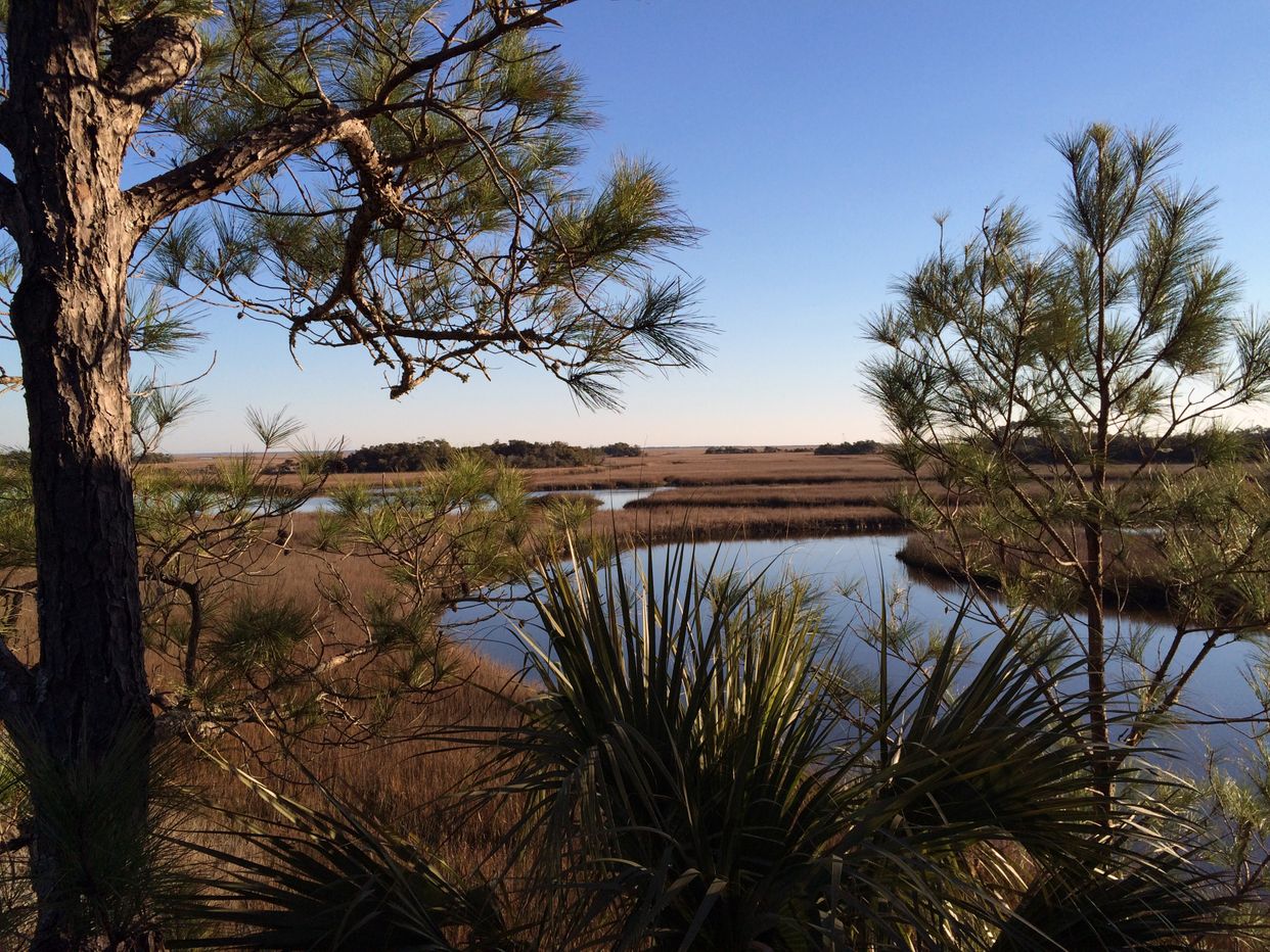 Bald Head Island Marsh