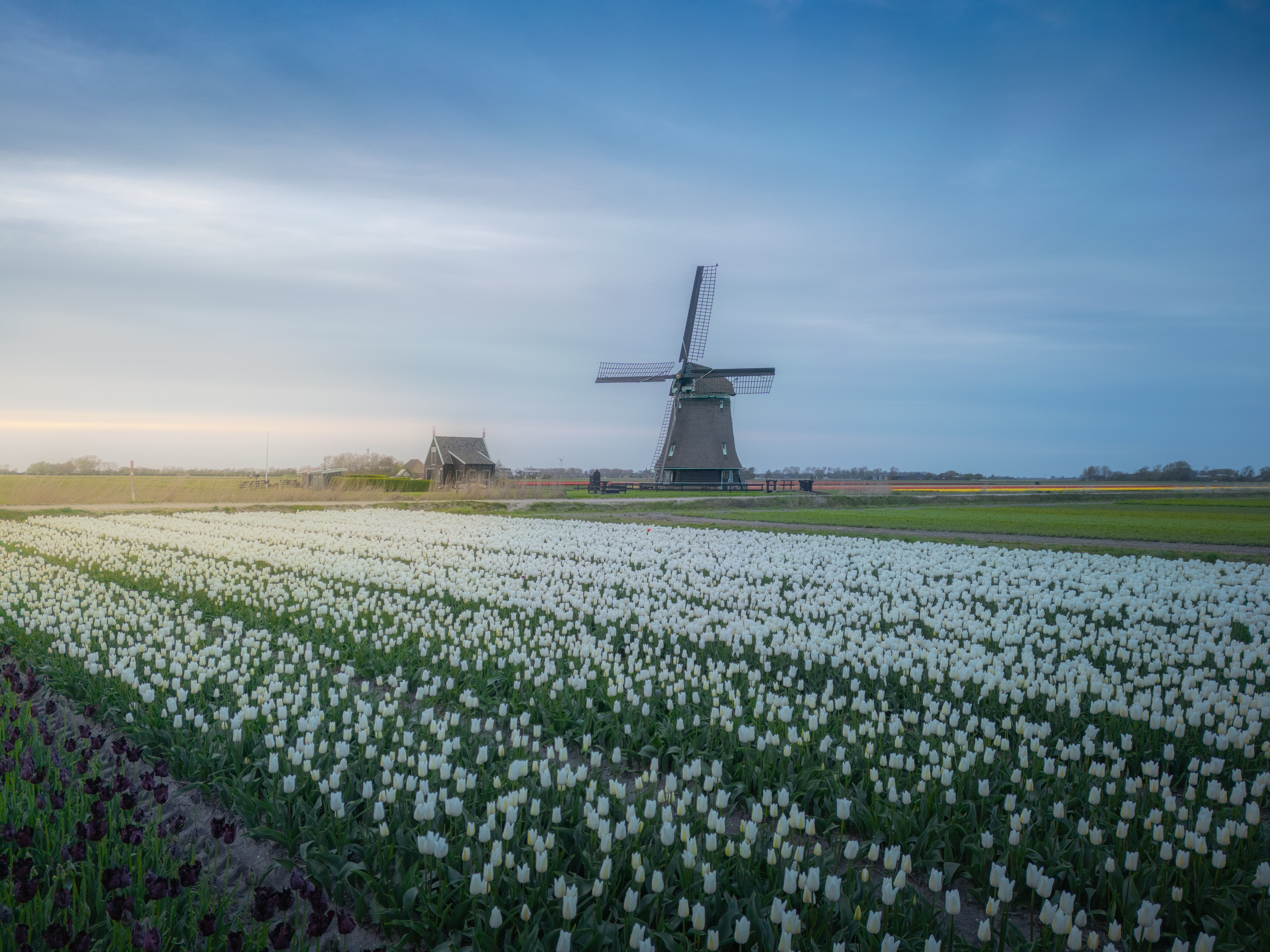 Molen O-T — Photo by @endstraphoto