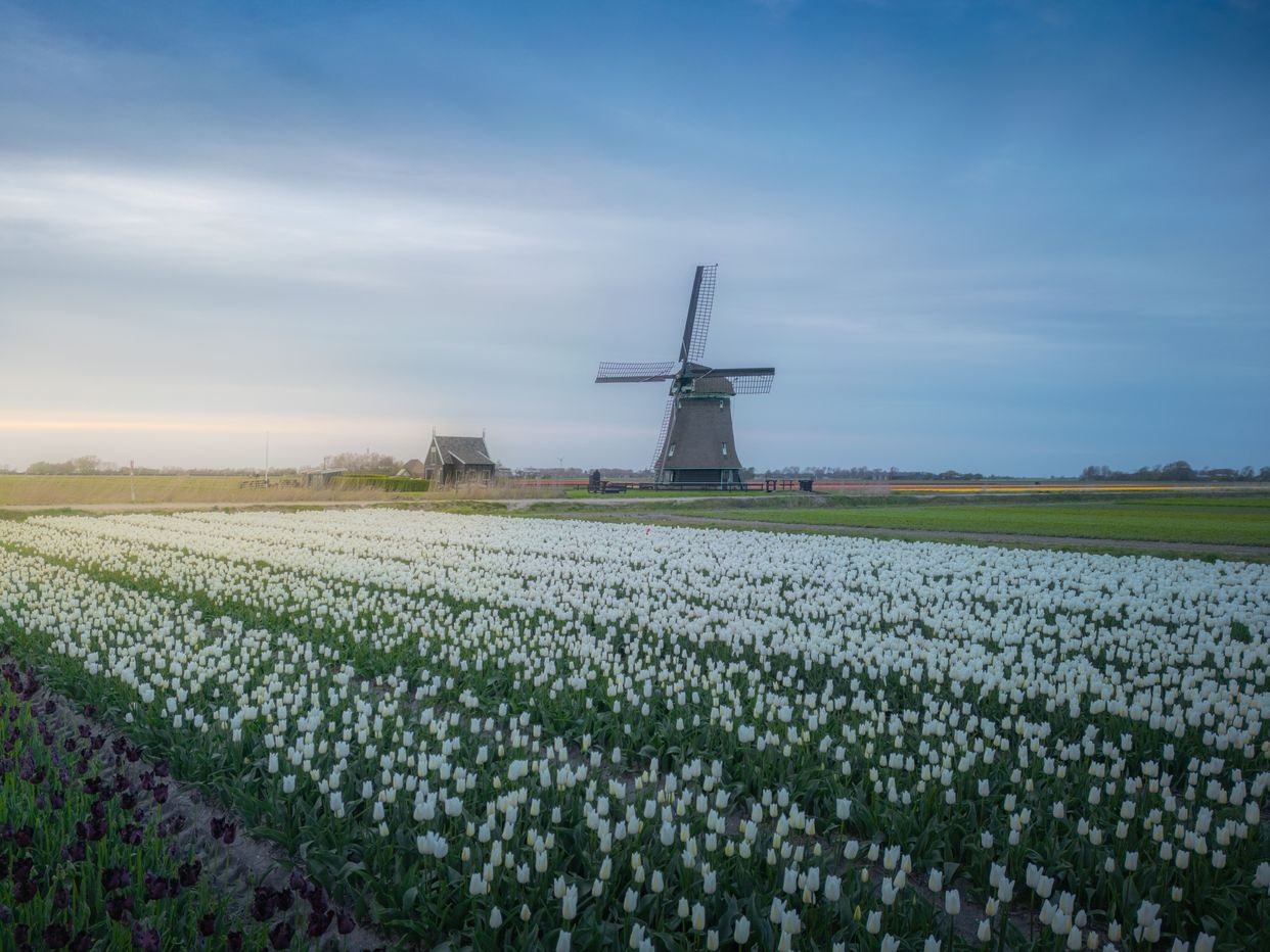 Molen O-T