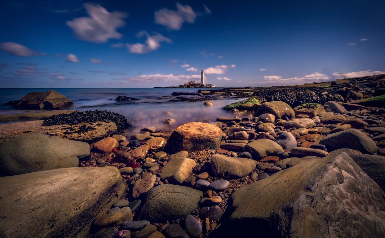 View of St. Mary's Lighthouse