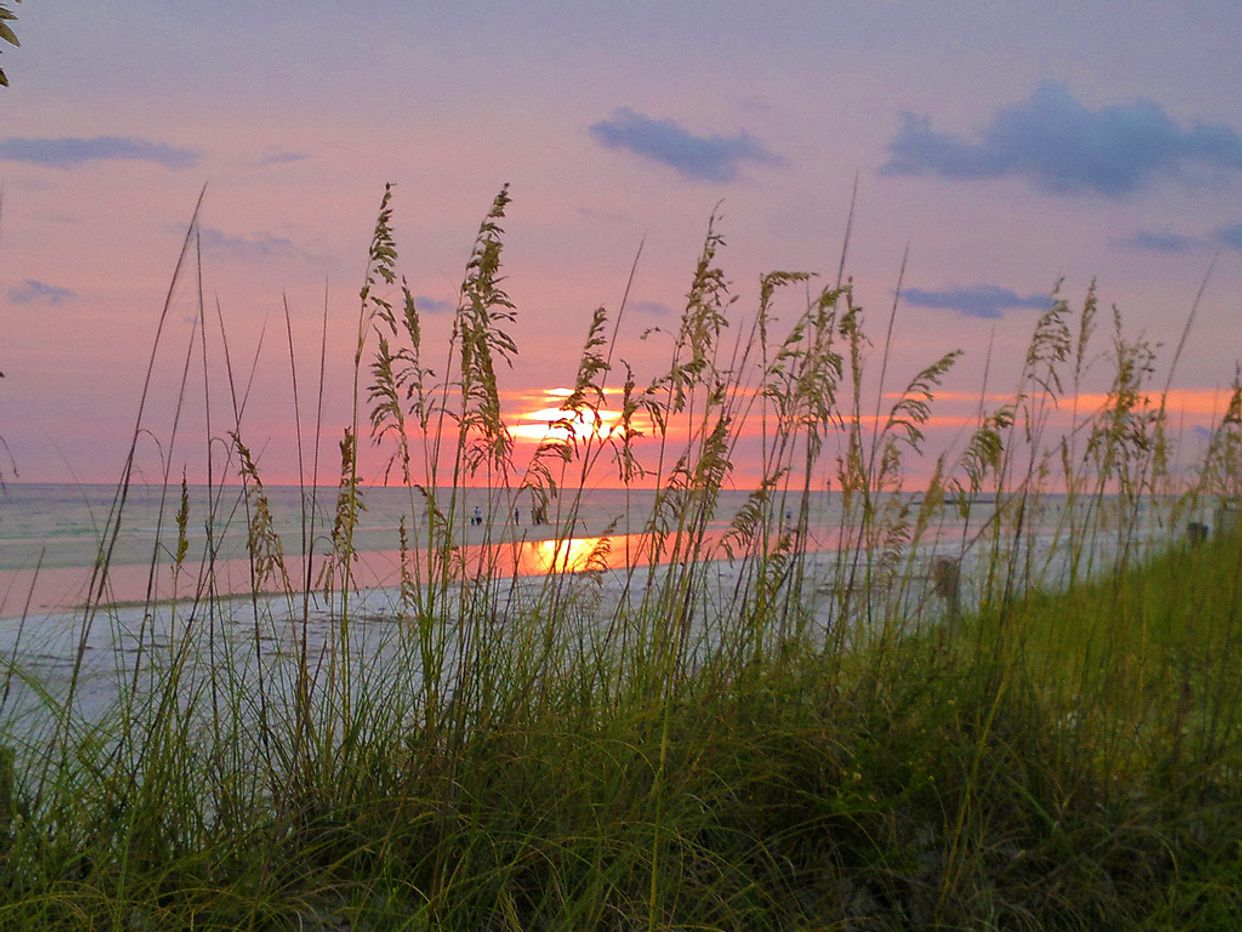 Honeymoon Island