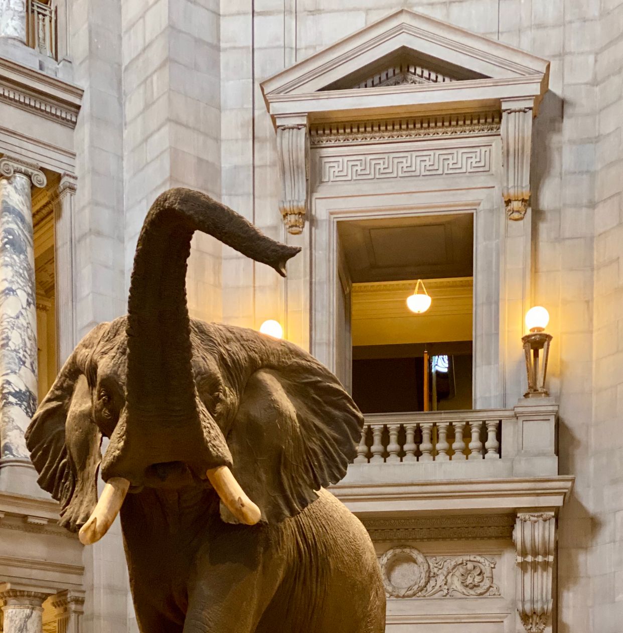 Smithsonian National Museum of Natural History