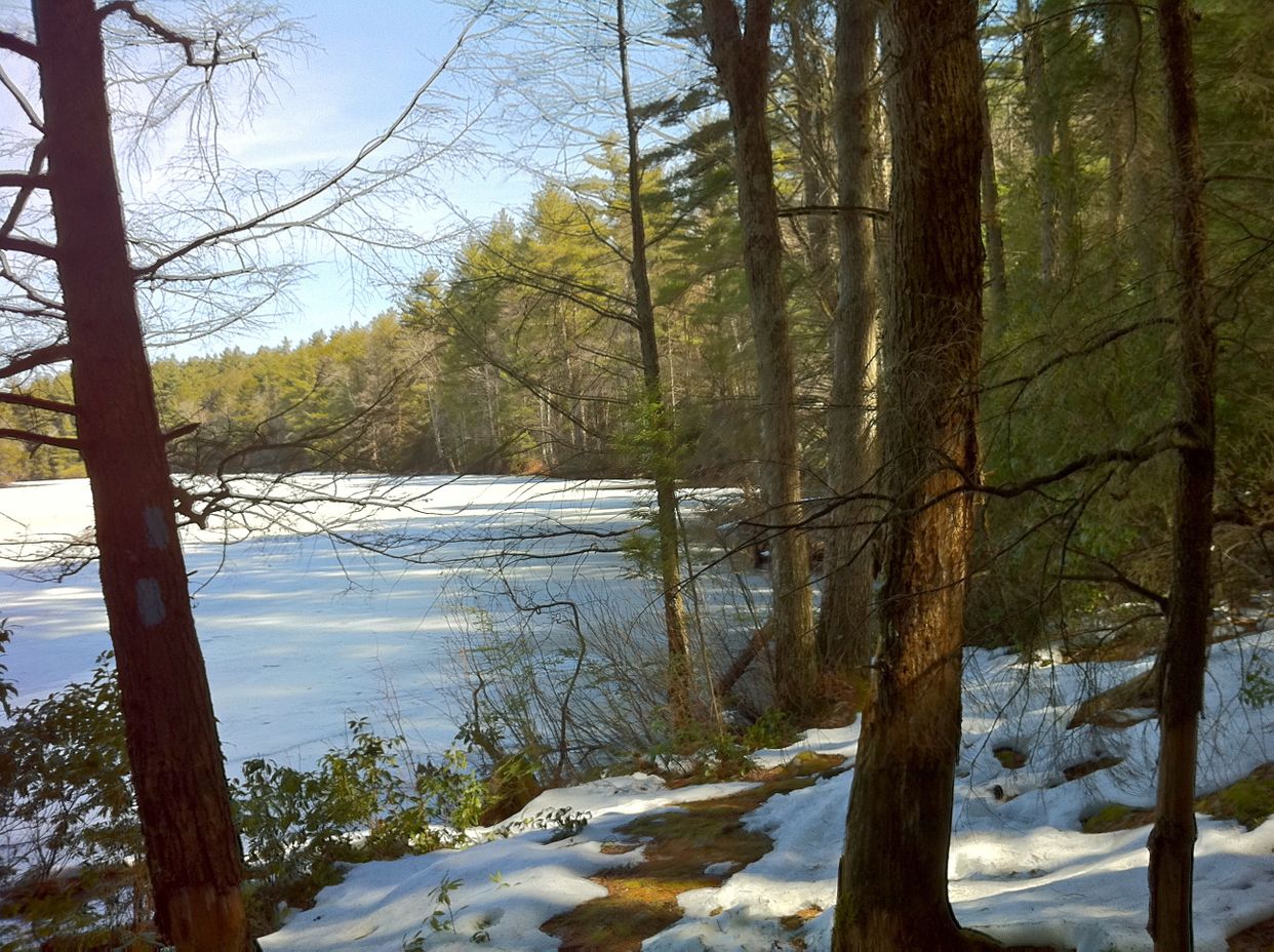 Southern Breakneck Pond