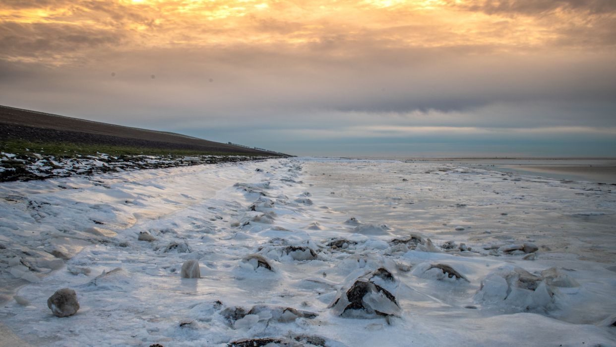 Waddenzee