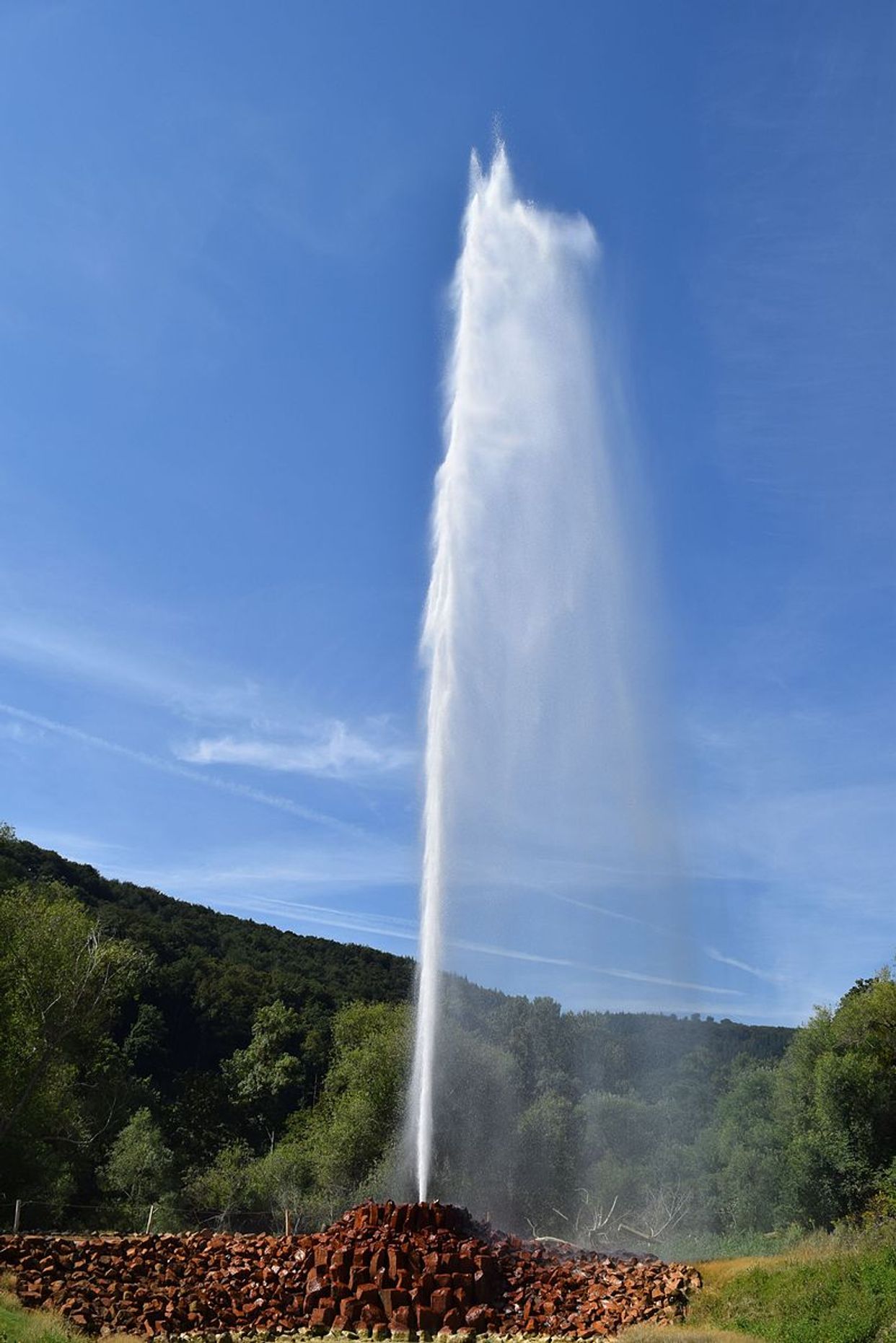 Andernach Geyser