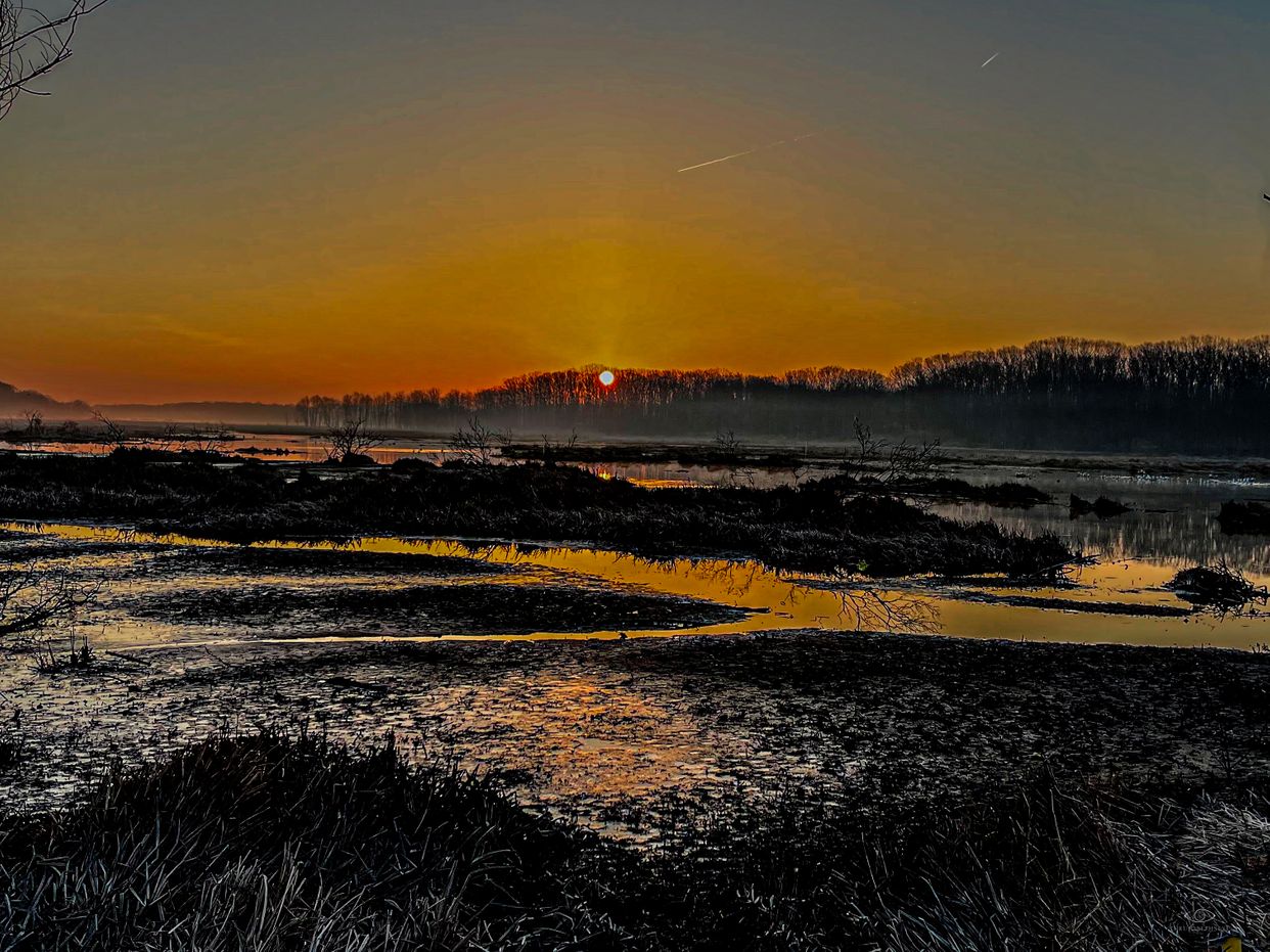 Mentor Lagoons