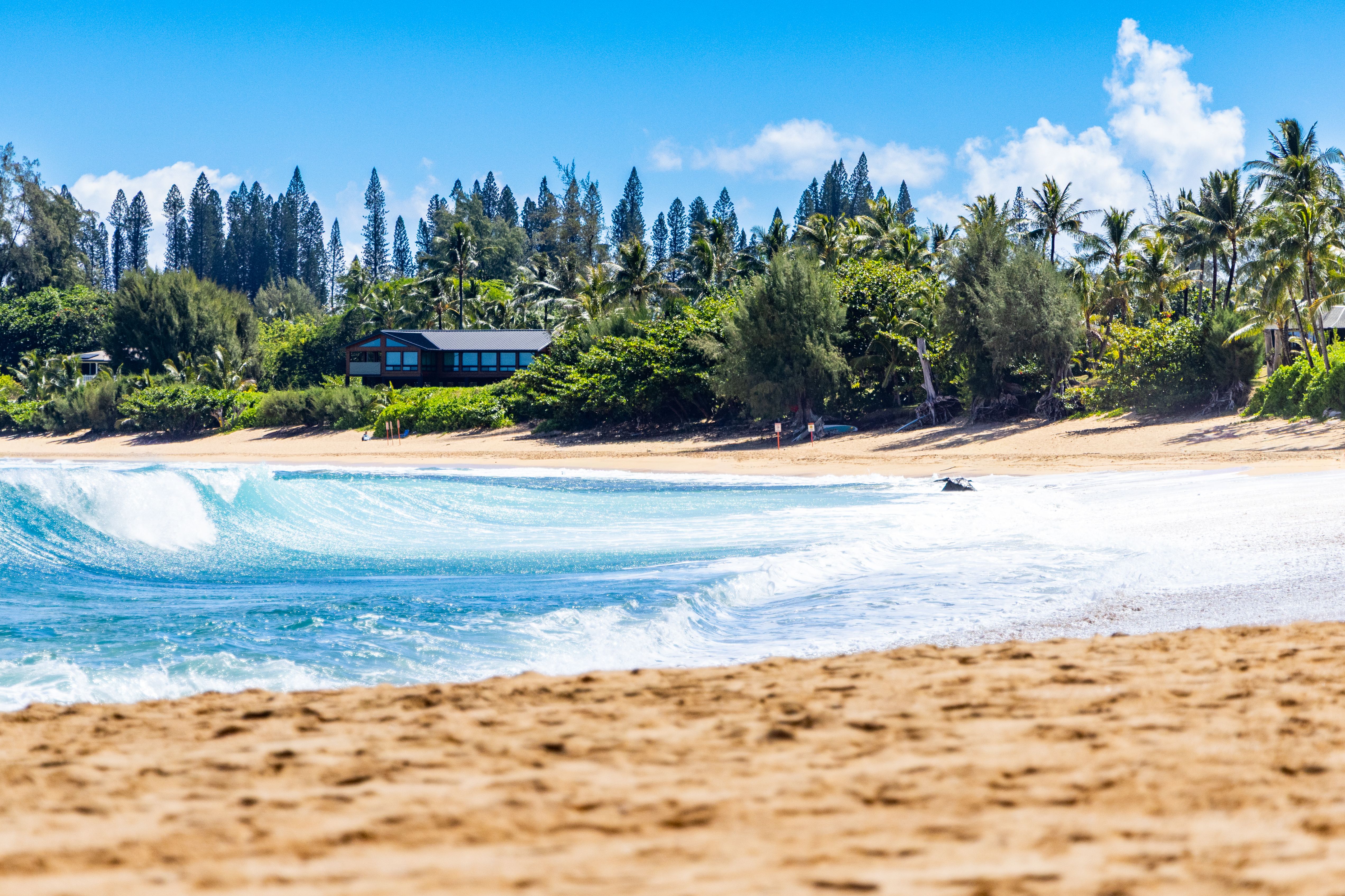 Ha'ena Beach — Photo by calebseyemedia
