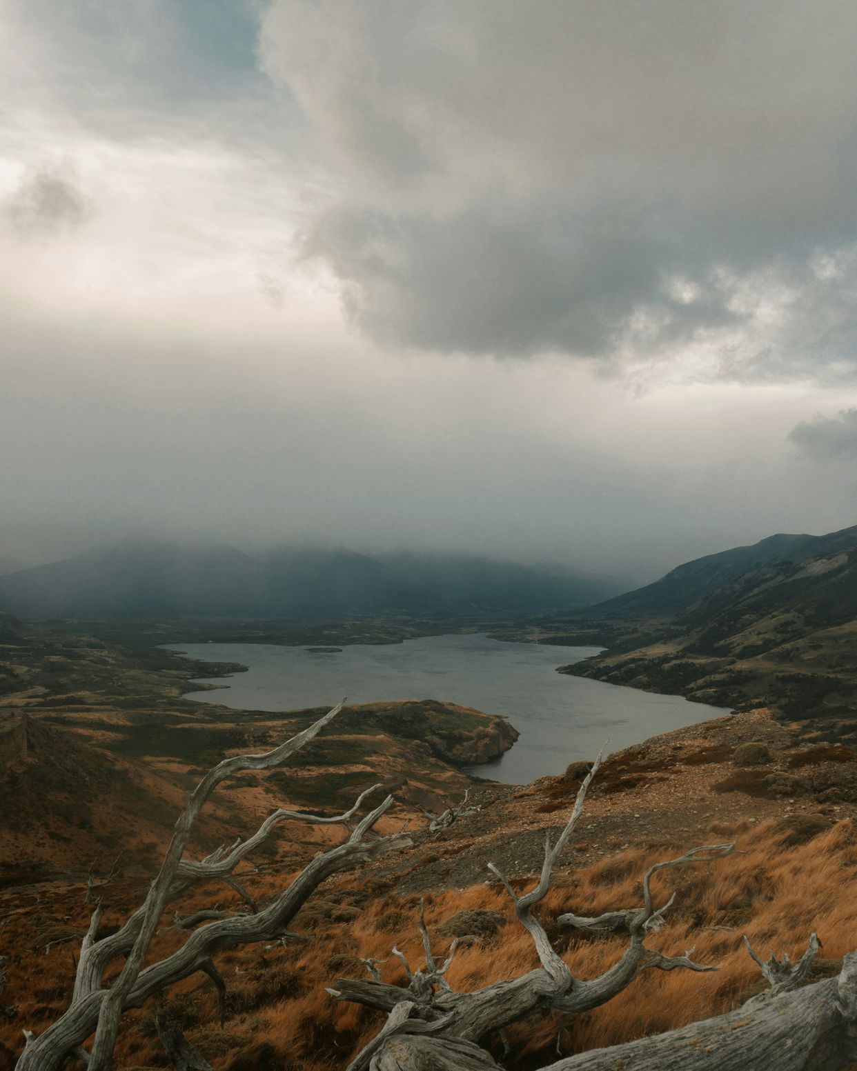 Laguna Sofía