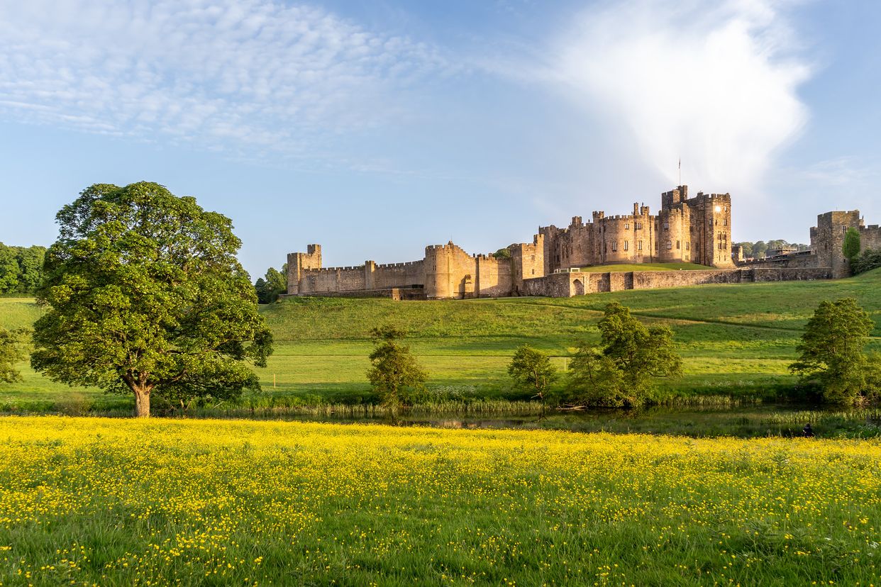 View of Alnwick Castle