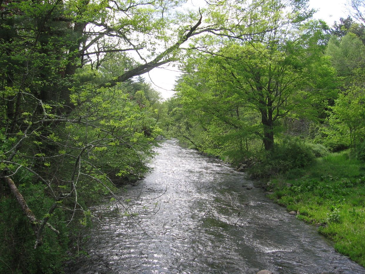 Bantam River