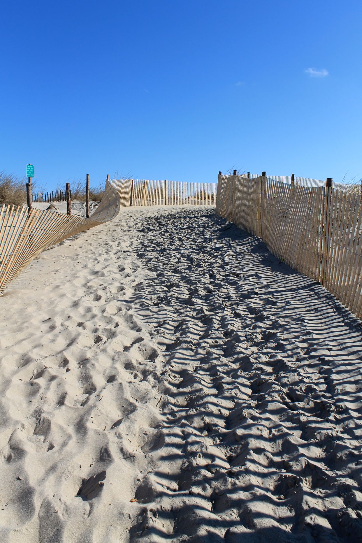Fenwick Island State Park