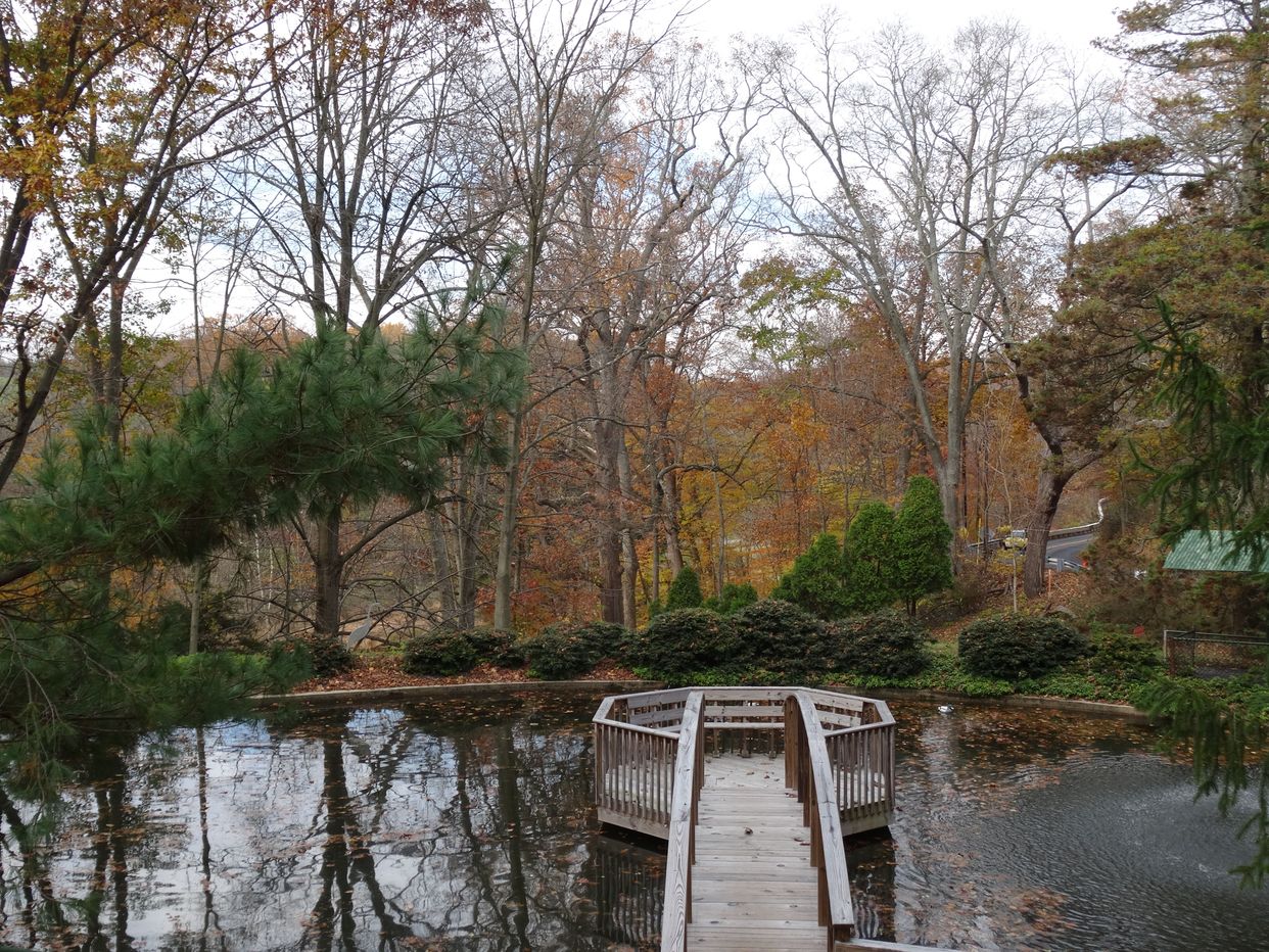 Lakeside Park 