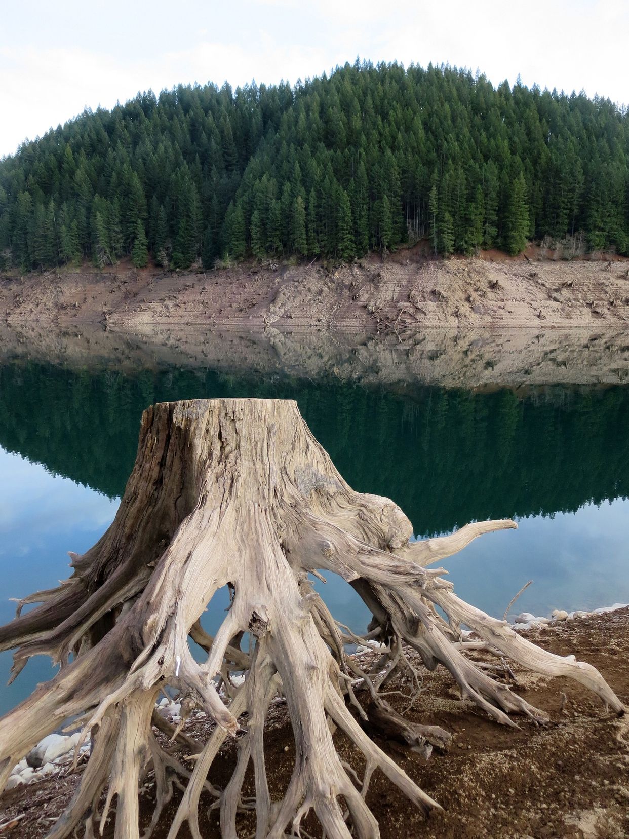 Detroit Lake