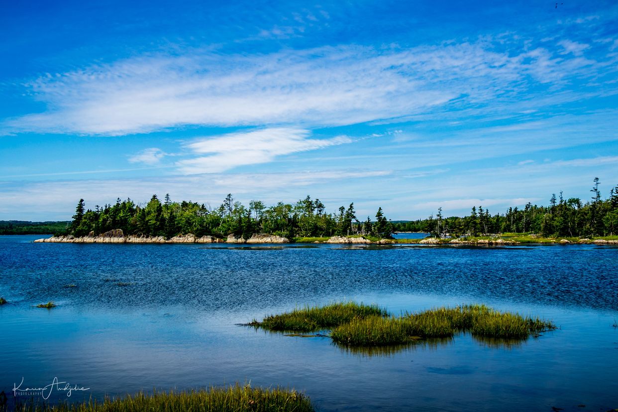 Salt Marsh Trail