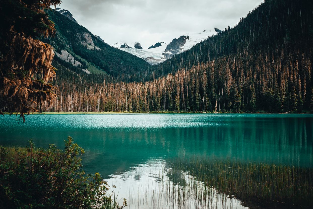 Middle Joffre Lake