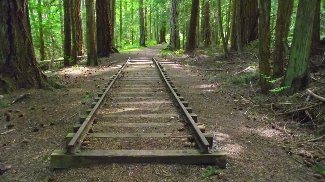 Railway Remnants