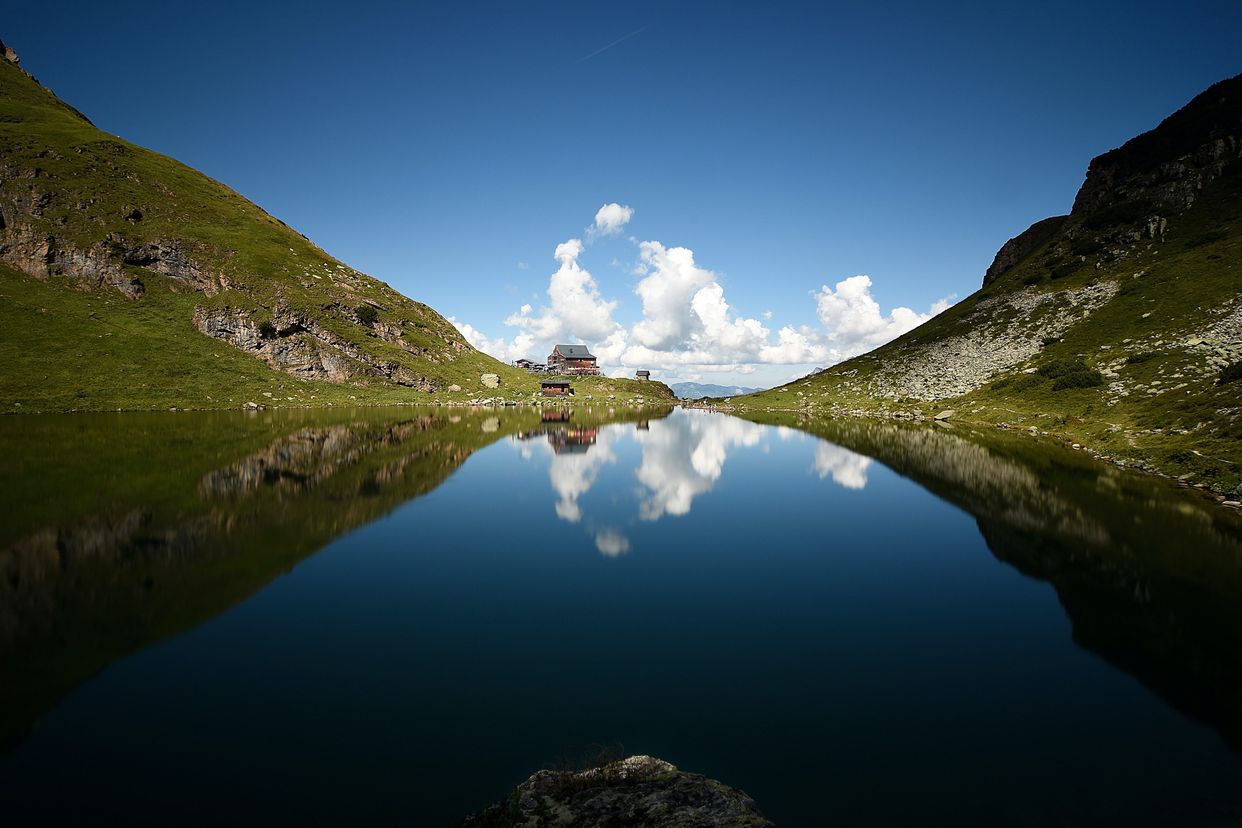 Wildsee