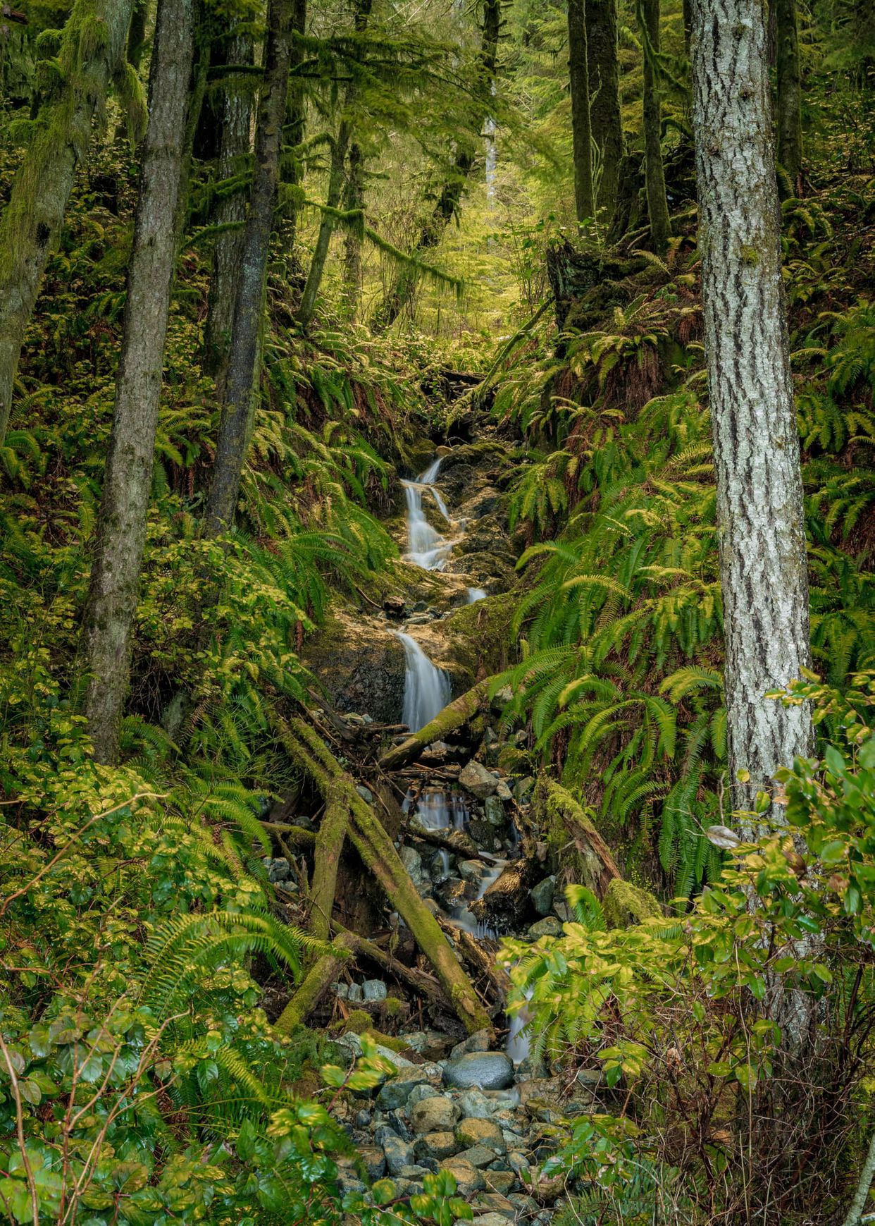 Hidden Waterfall 