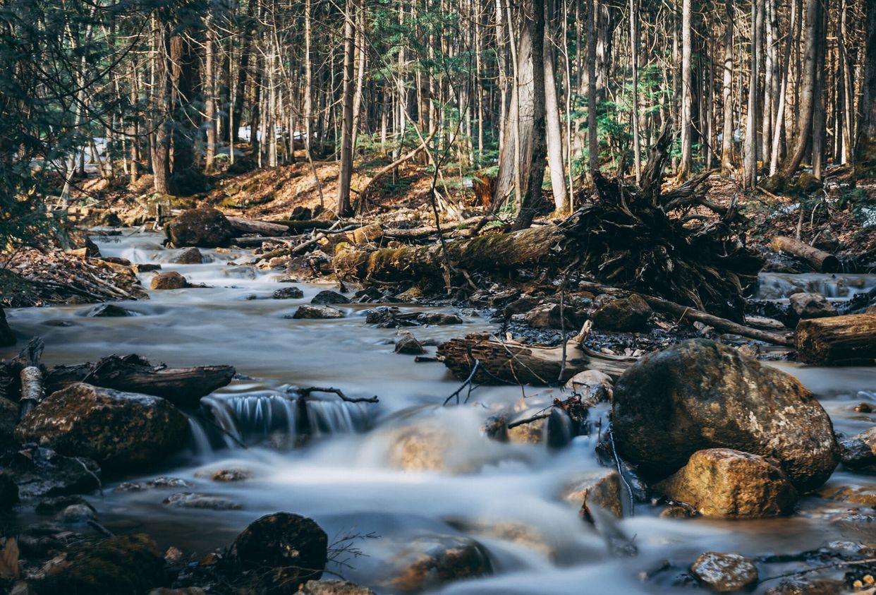 Pretty River Valley Stream