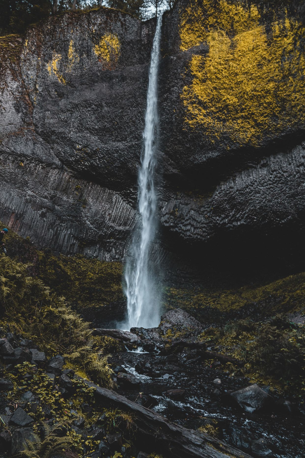 Elowah Falls