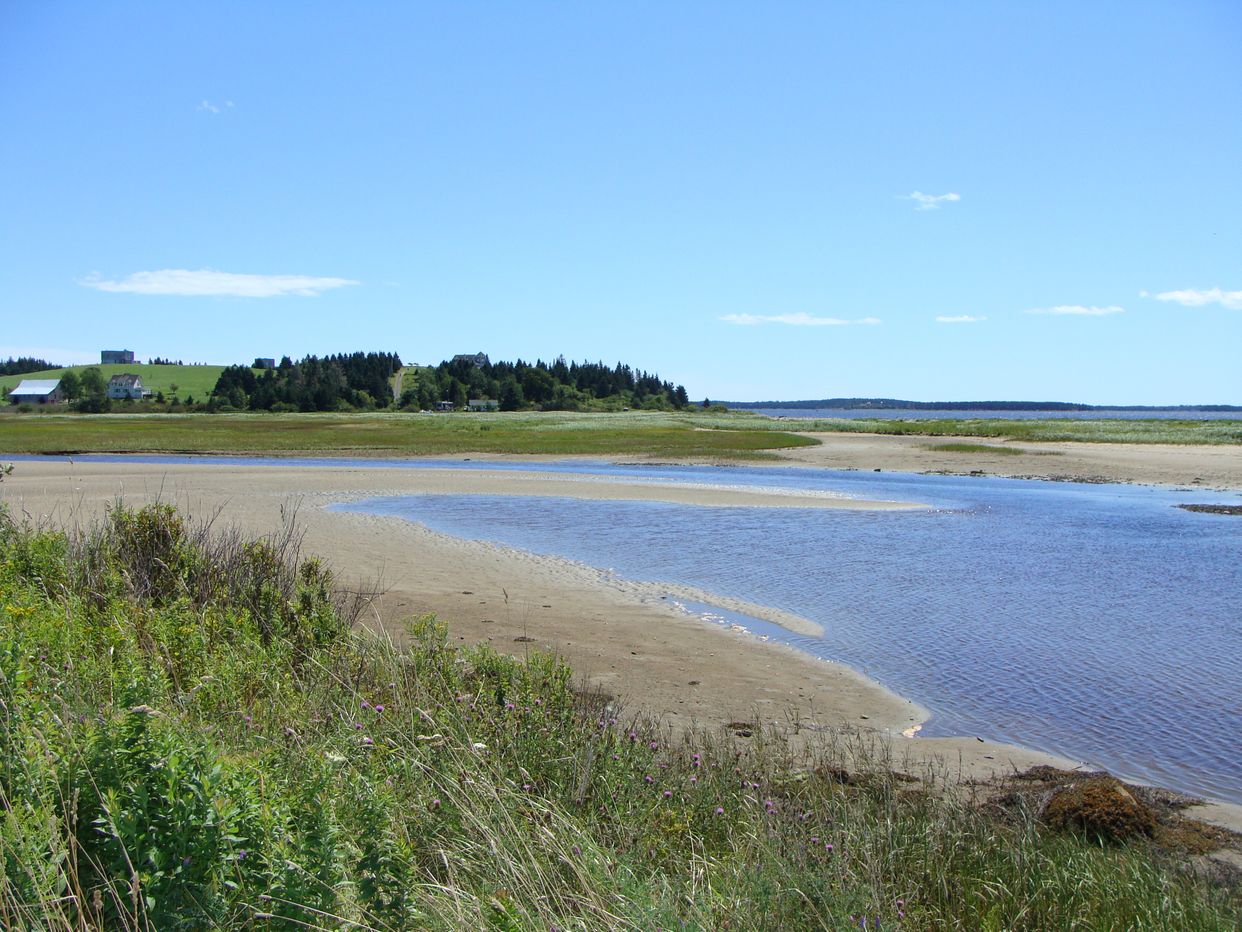 Five Houses Viewpoint