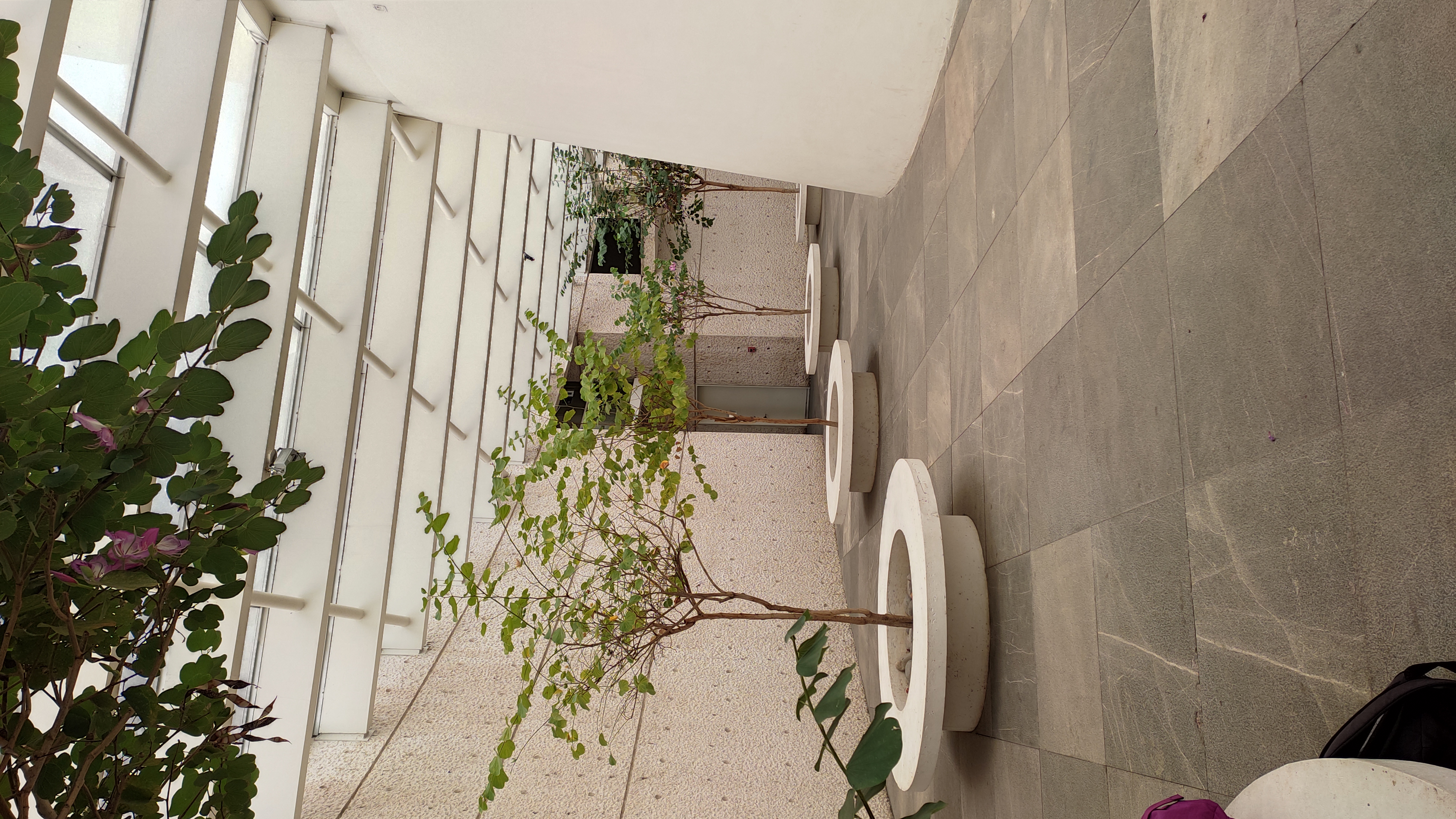 Centro de Información Arte y Cultura — Photo by https://instagram.com/diego.a_cisneros?utm_source=qr&igshid=MzNlNGNkZWQ4Mg%3D%3D
