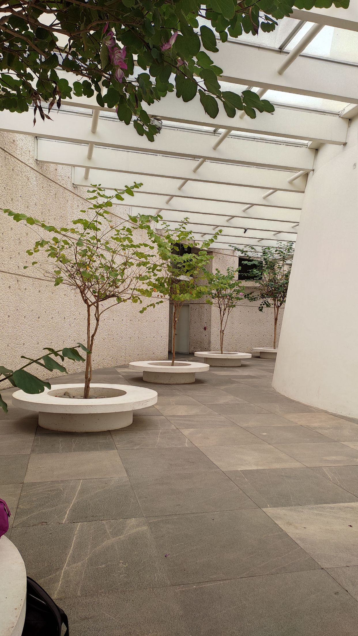 Centro de Información Arte y Cultura
