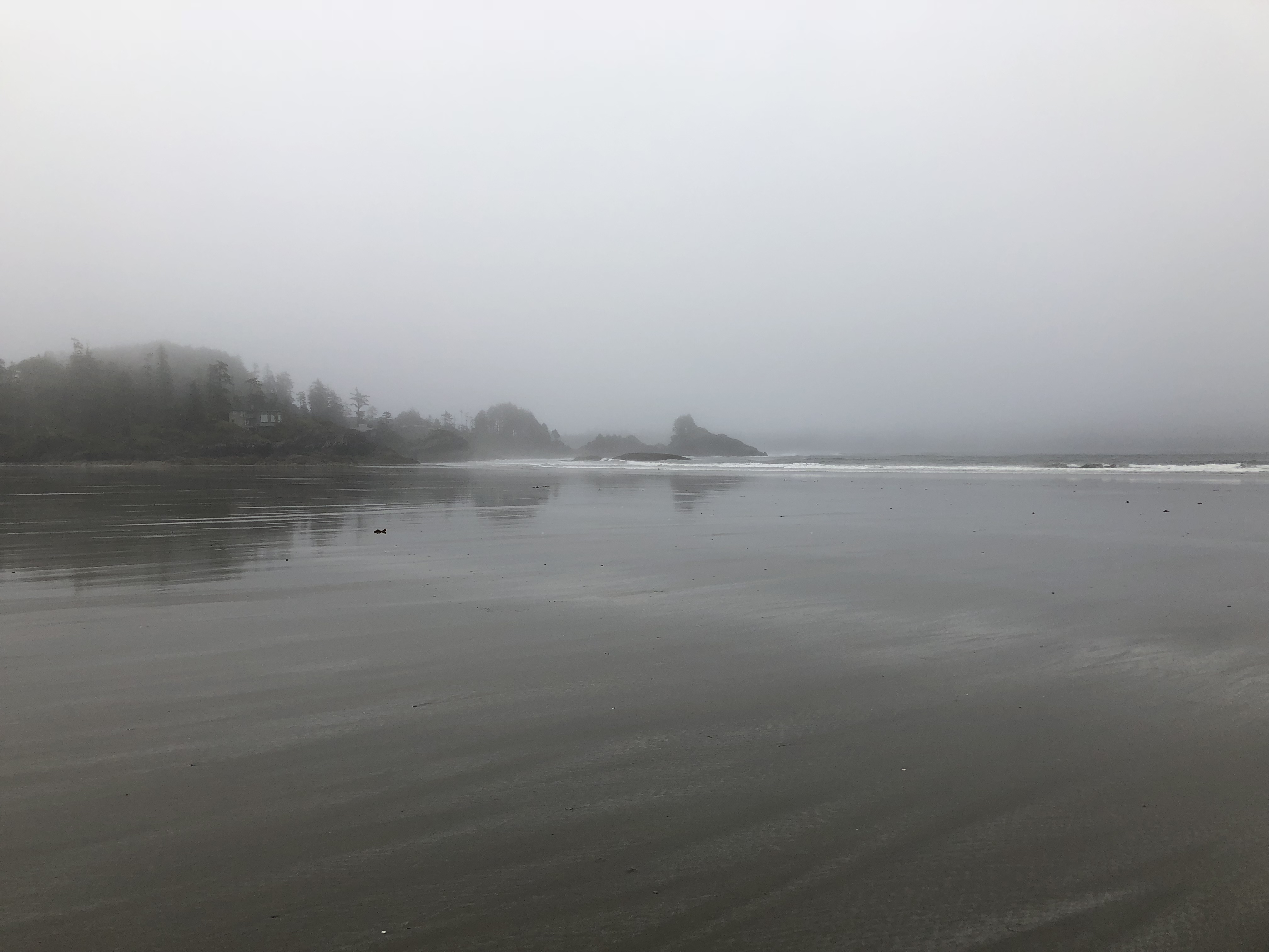 Tofino Beach — Photo by Normand Sauvageau Photographie