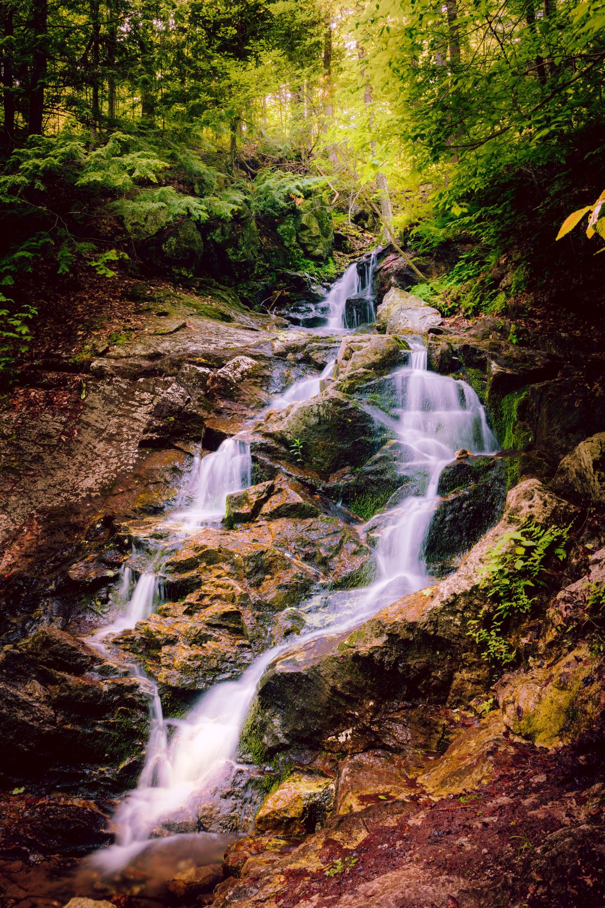 Bridal Veil Falls
