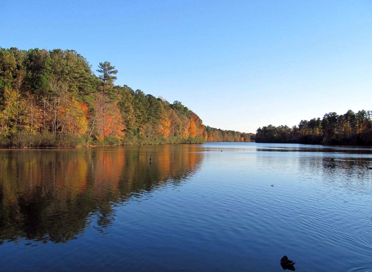 Lake Lynn