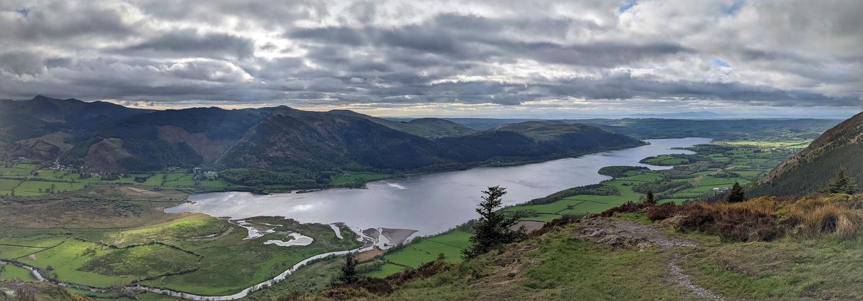 Dodd Fell 