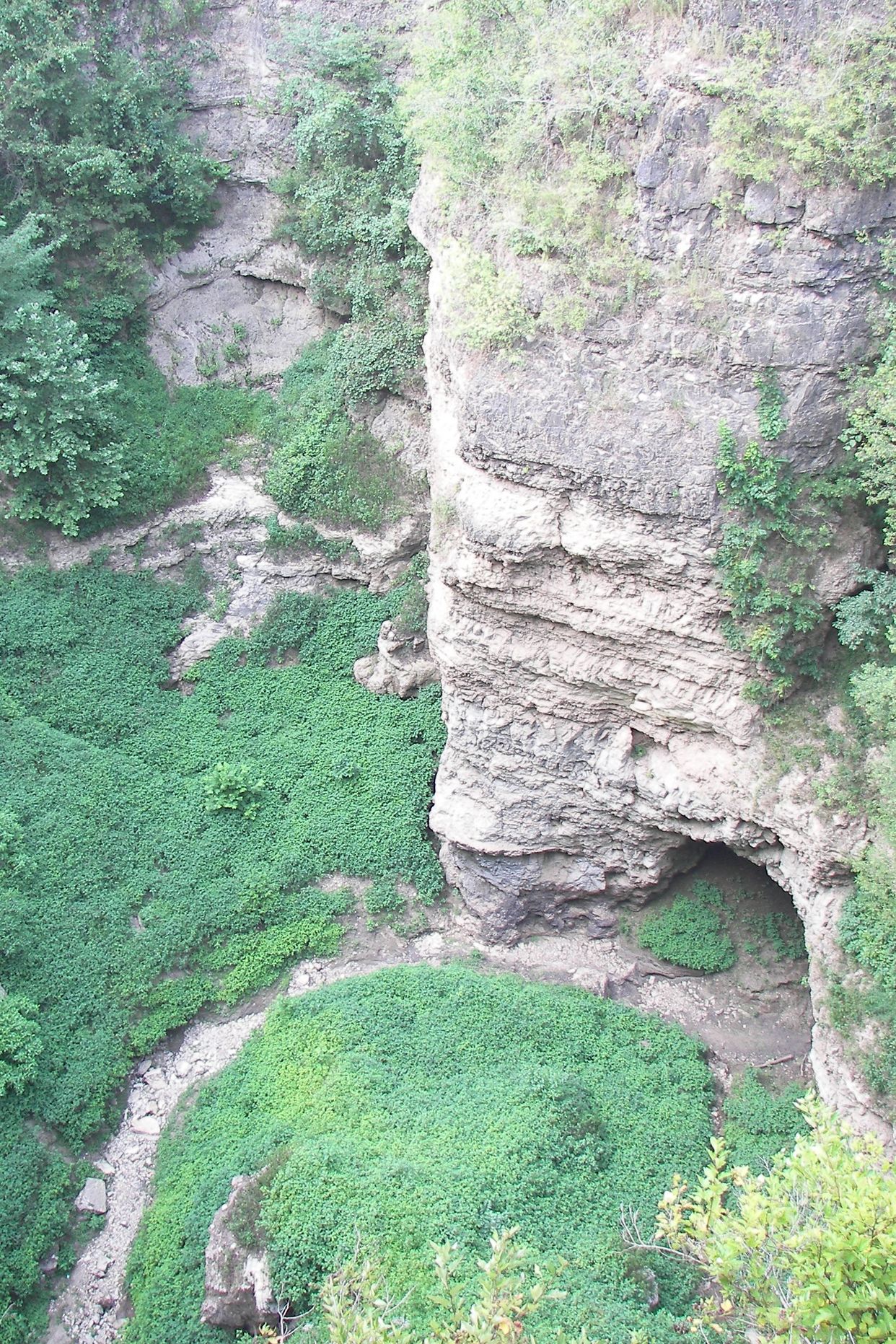Grand Gulf Cave