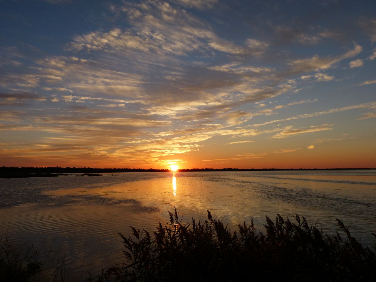 Mattamuskeet National Wildlife Refuge