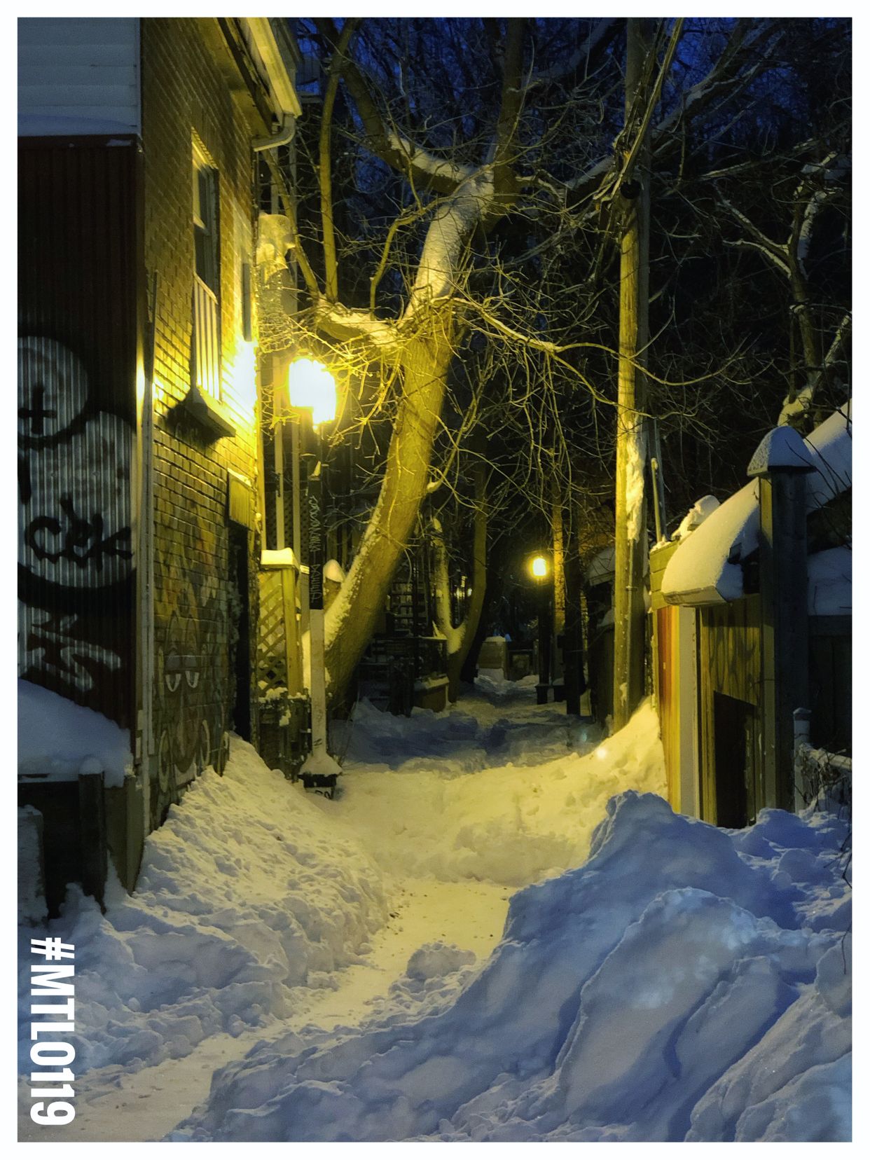 Urban Back Alley