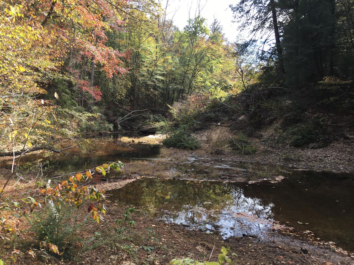 Sipsey River