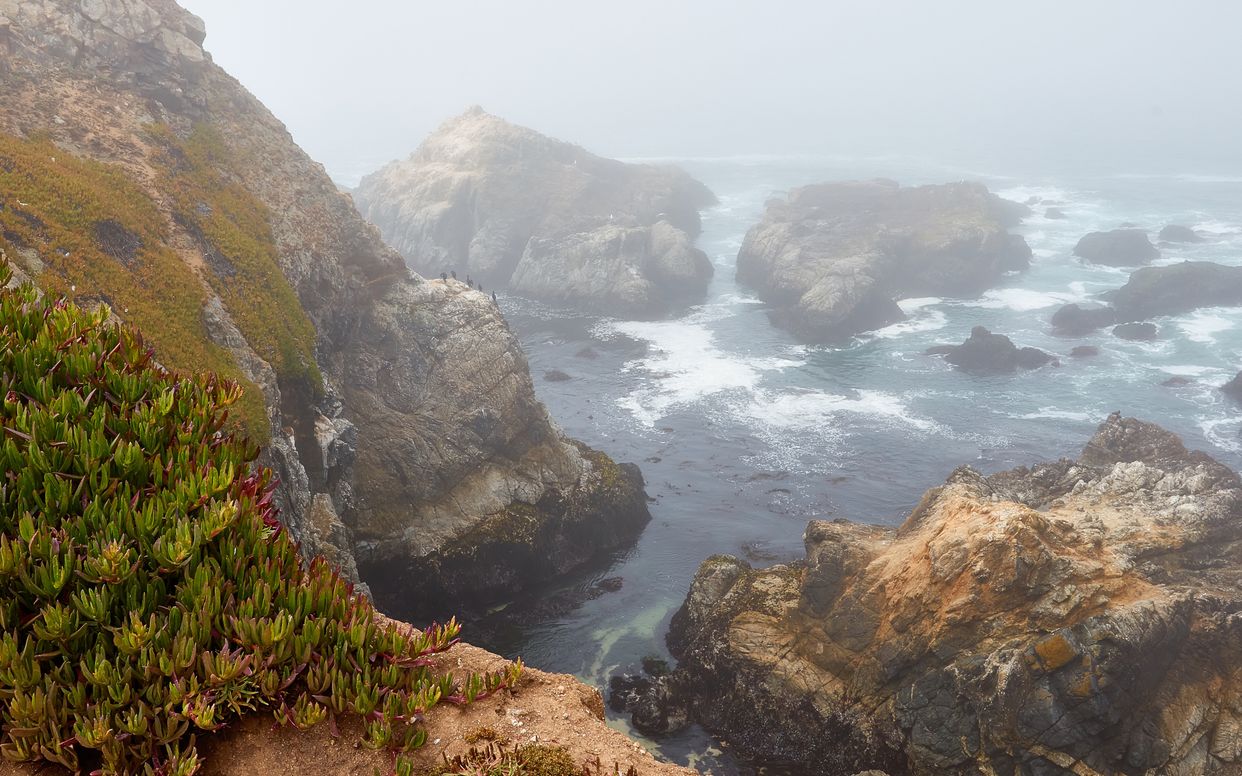 Bodega Head