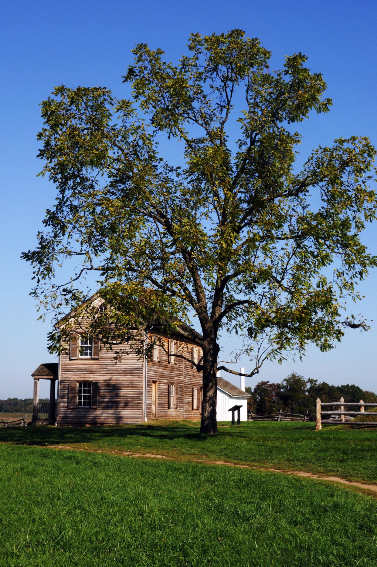 Henry House Hill 