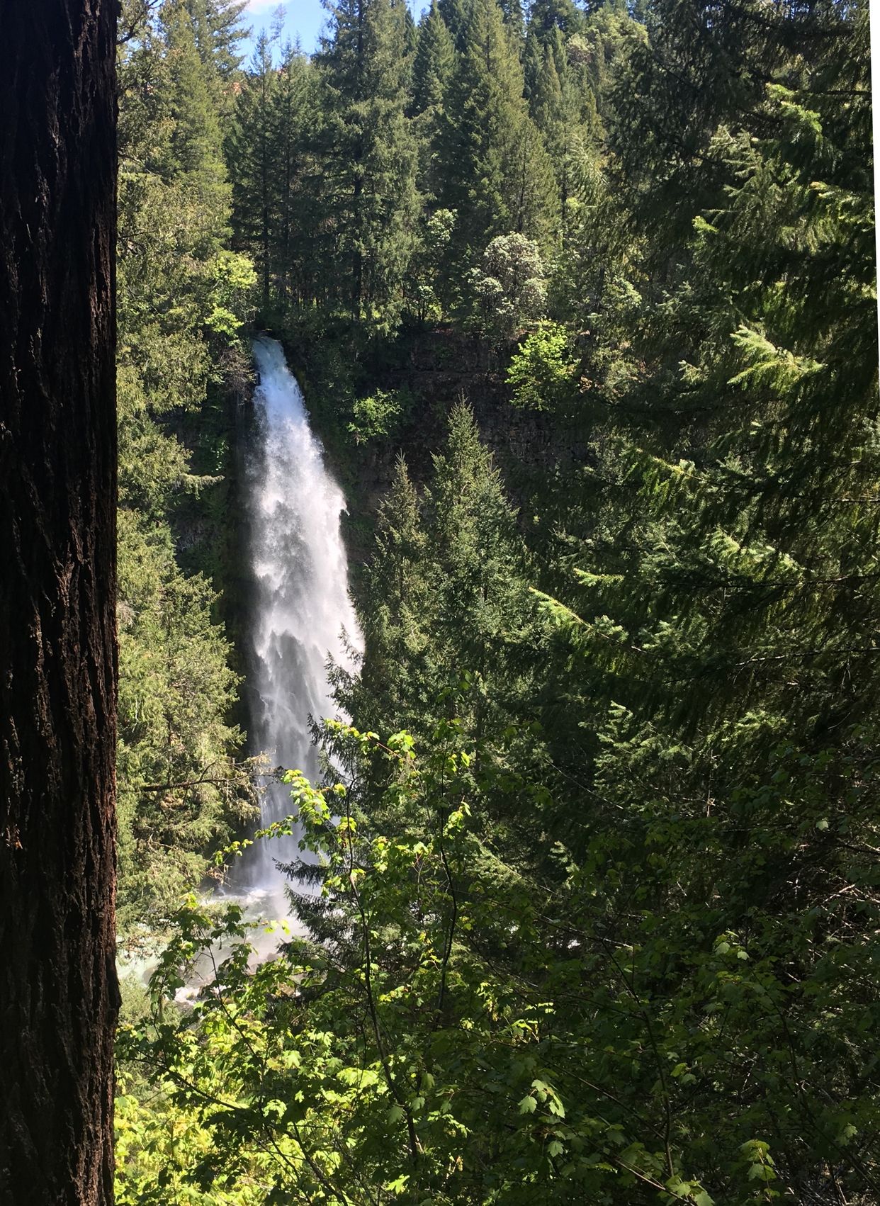 Mill Creek Falls
