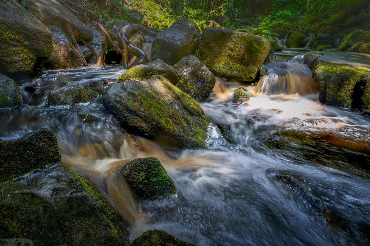 Padley Gorge