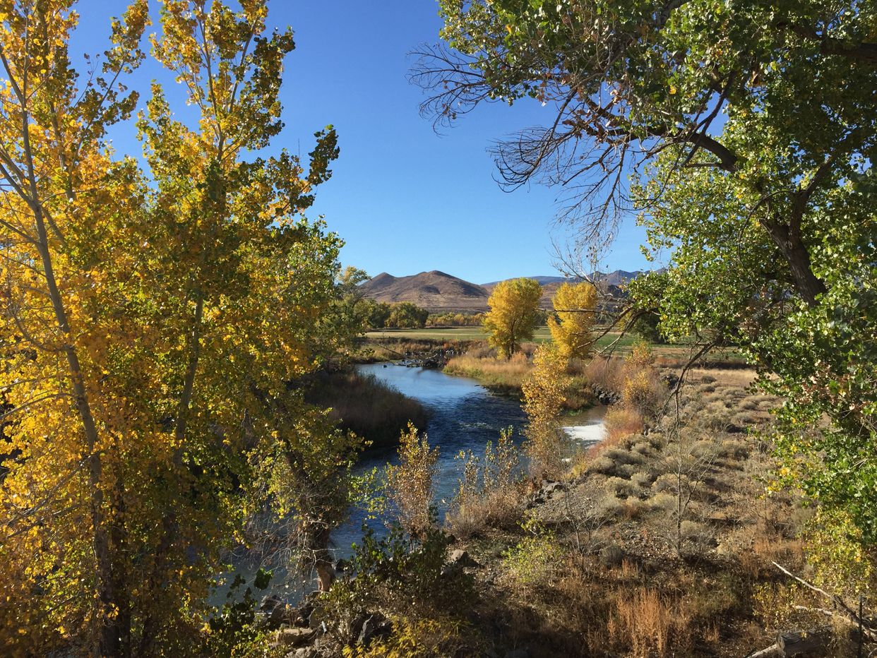 Truckee River 