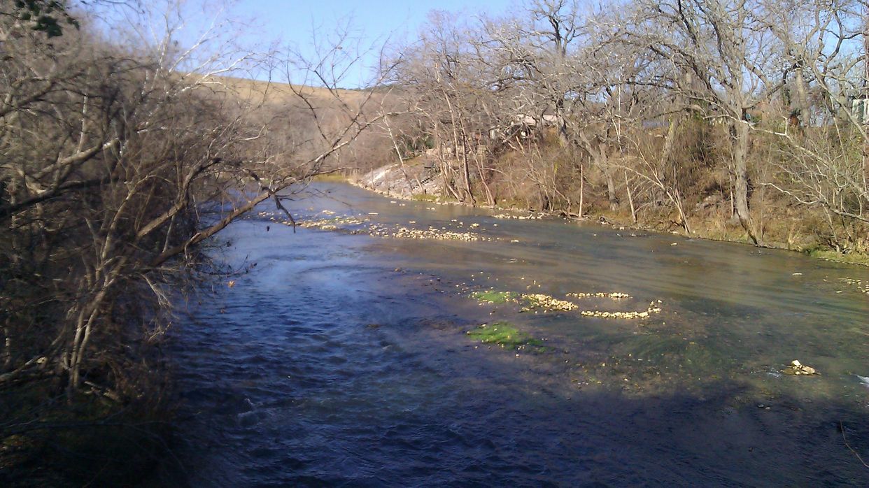 Guadalupe River Trail View