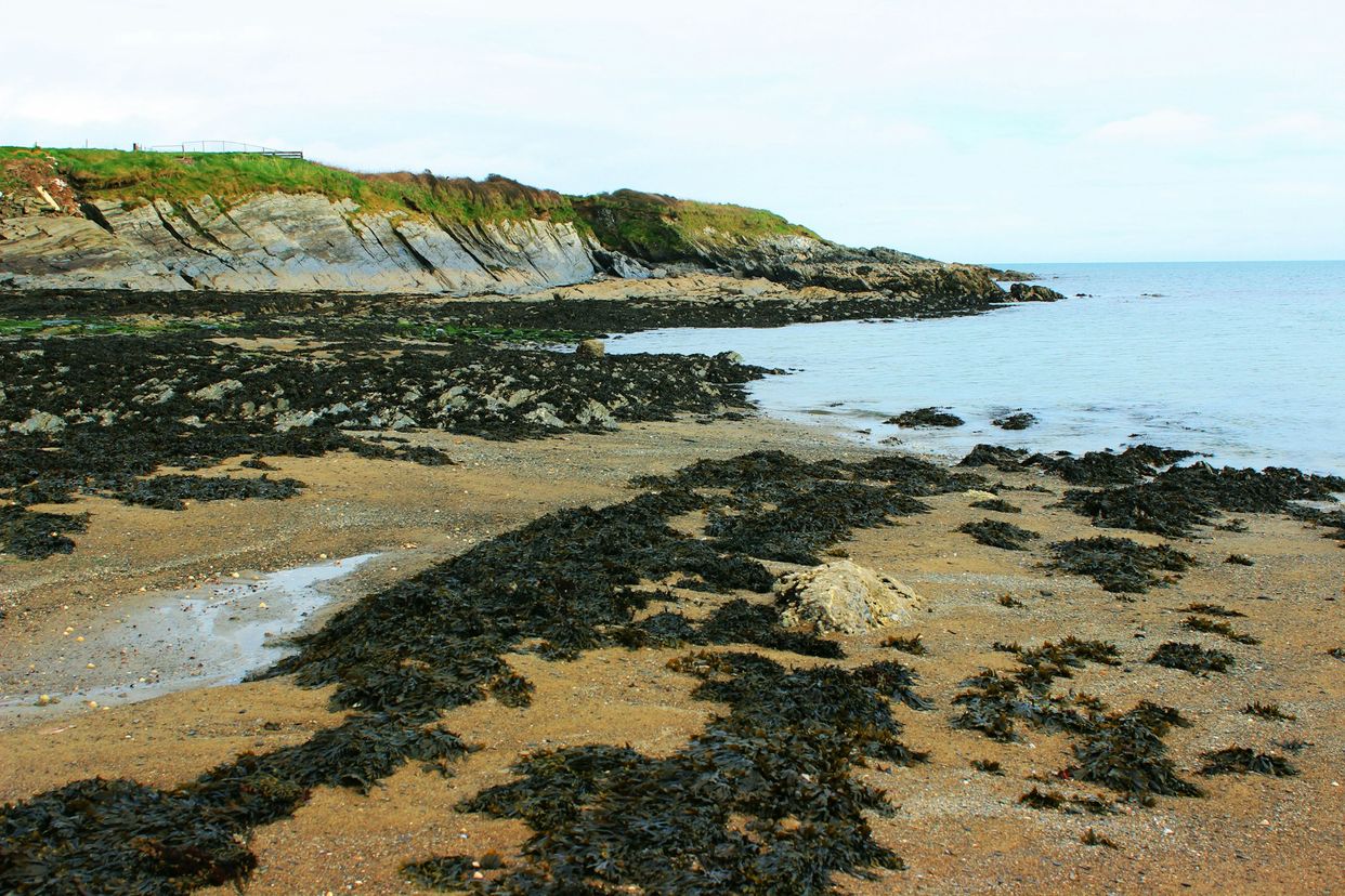 Garretstown Beach
