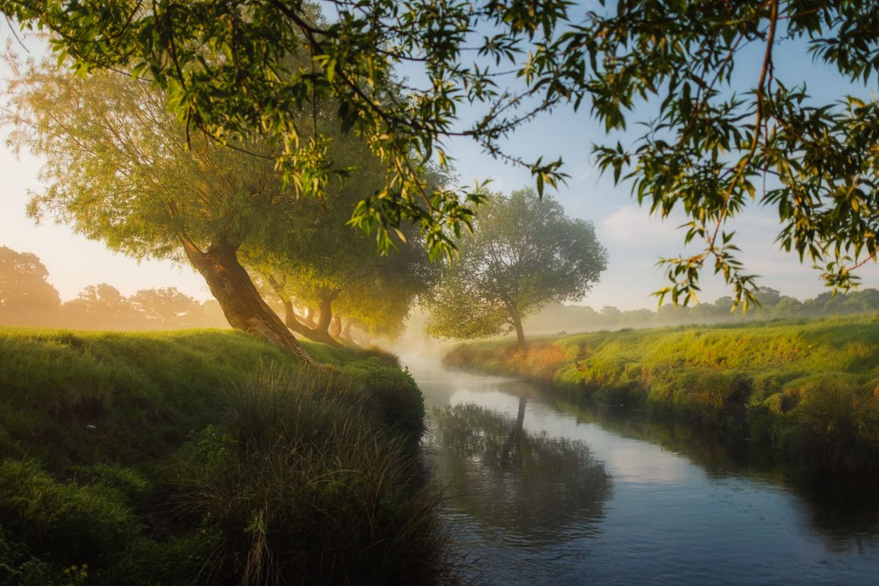 Beverley Brook
