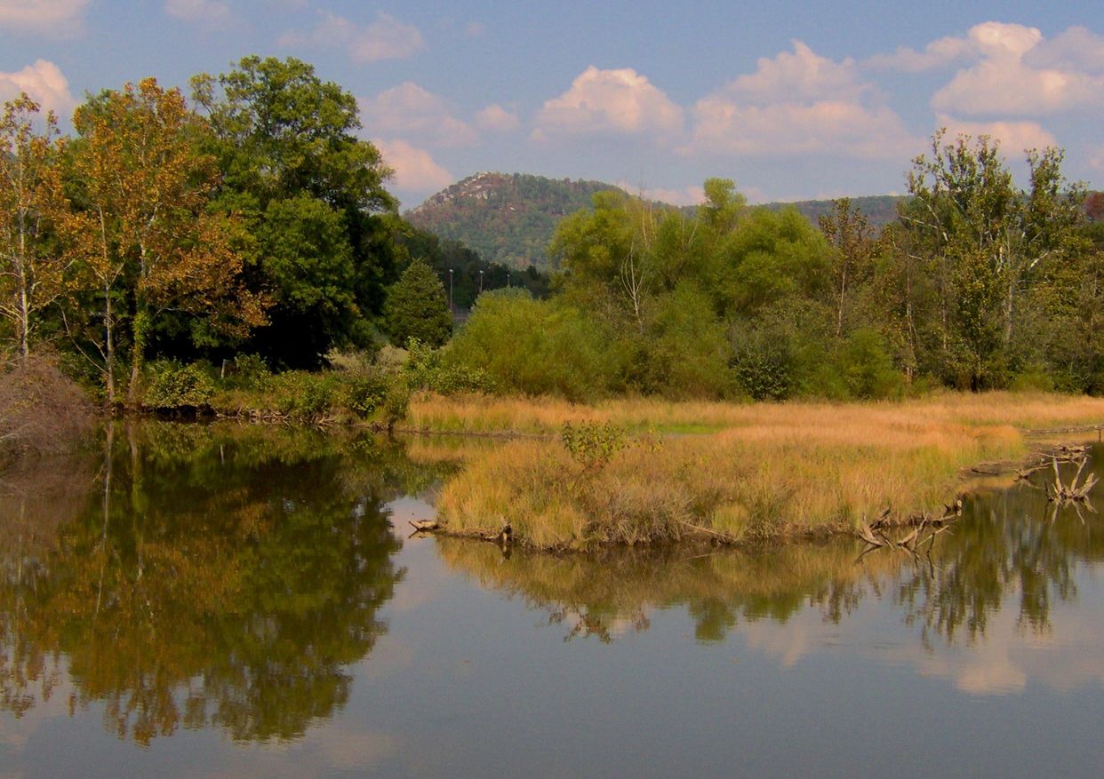 Cove Lake
