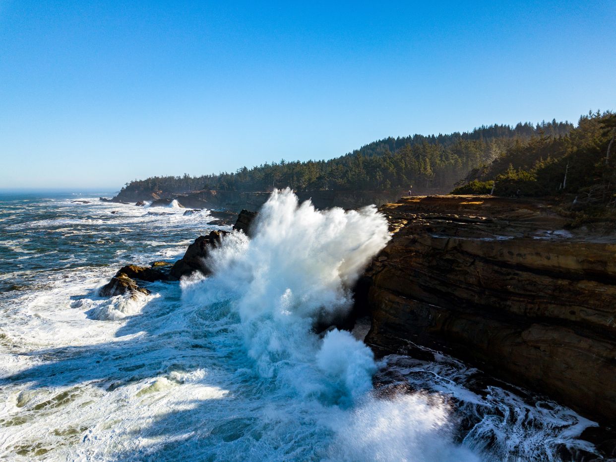 Shore Acres State Park