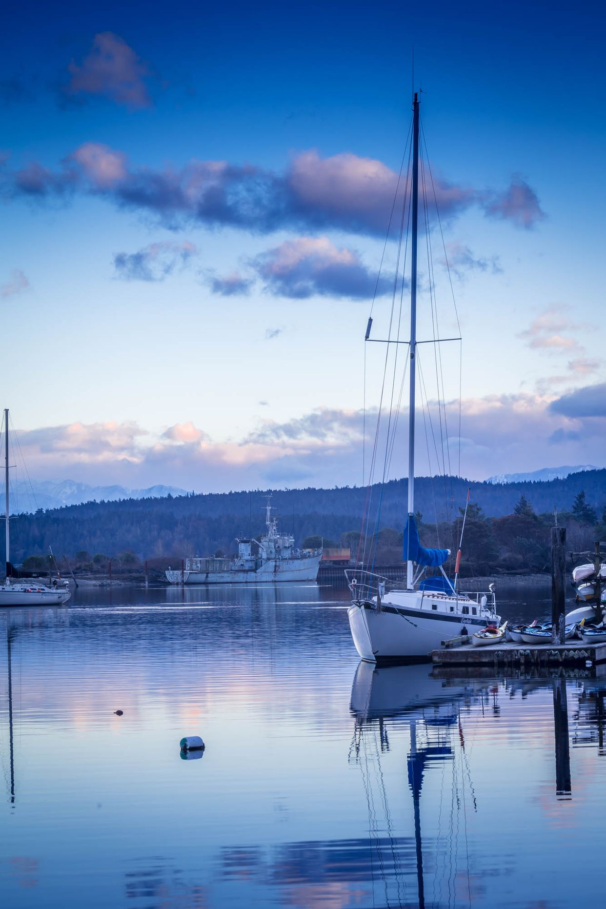 View of Abandoned Ship in Sooke