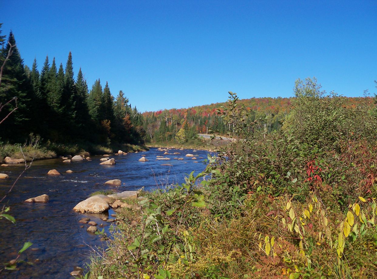 Ammonoosuc River